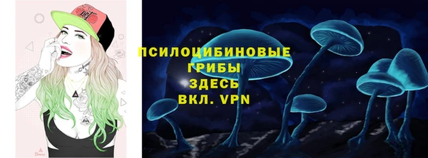 винт Куйбышев