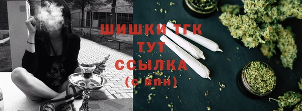 тгк Кукмор
