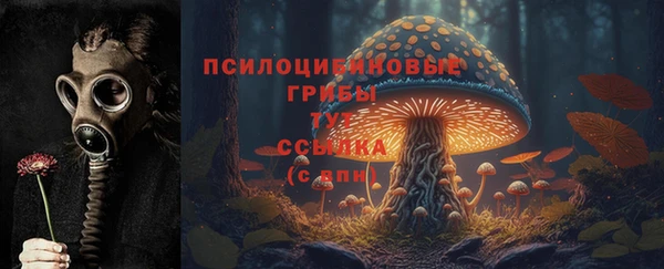 тгк Кукмор