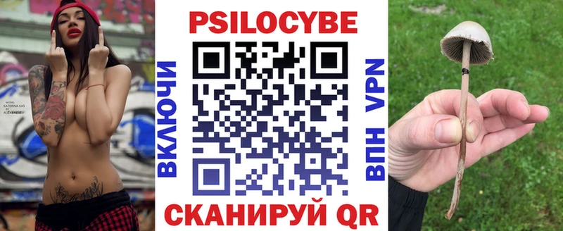 Псилоцибиновые грибы прущие грибы  Купить  Бобров 