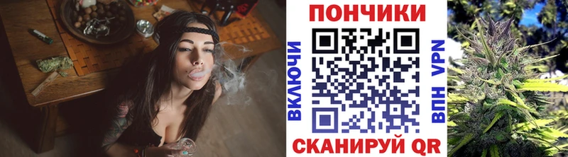 Купить где Бобров Марихуана индика